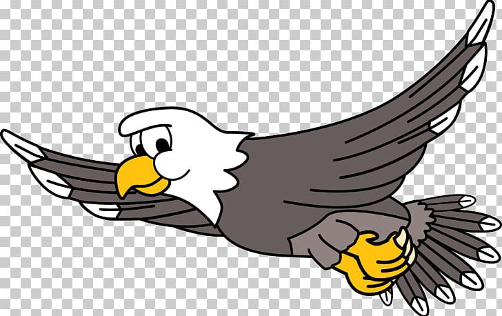 Bald Eagle Bird Cartoon PNG, Clipart, Animals, Artwork, Bald Eagle, Beak, Bird Free PNG Download