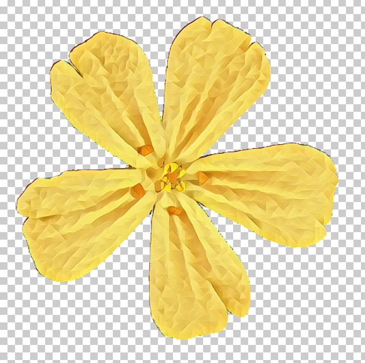 Petal PNG, Clipart, Flower, Others, Petal, Yellow Free PNG Download