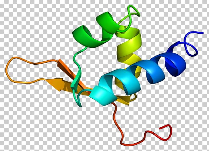 DDEF1 Gene Pleckstrin Homology Domain SH3 Domain Protein PNG, Clipart, Artwork, Ensembl, Gene, Line, Meter Free PNG Download