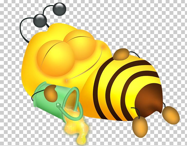 Honey Bee Insect PNG, Clipart, Baby Sleep, Bee, Beehive, Bees, Bumblebee Free PNG Download