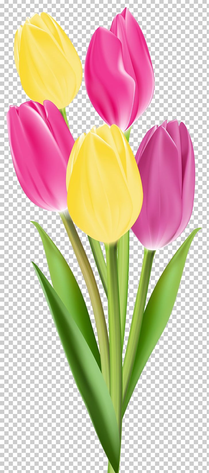 Tulip Flower Bouquet PNG, Clipart, Clip Art, Cut Flowers, Desktop Wallpaper, Flower, Flower Bouquet Free PNG Download
