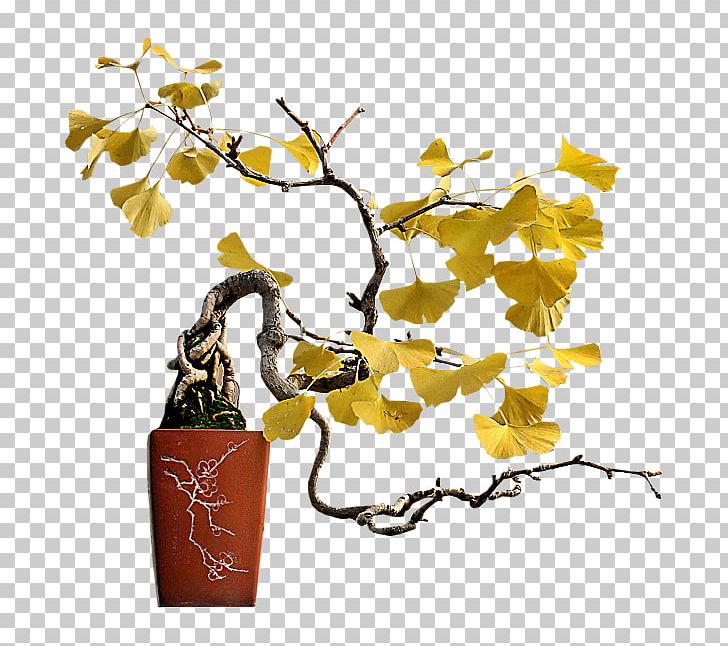 Twig Flowerpot Houseplant Bonsai Plant Stem PNG, Clipart, Bonsai, Branch, Cicekler, Fleur, Flower Free PNG Download
