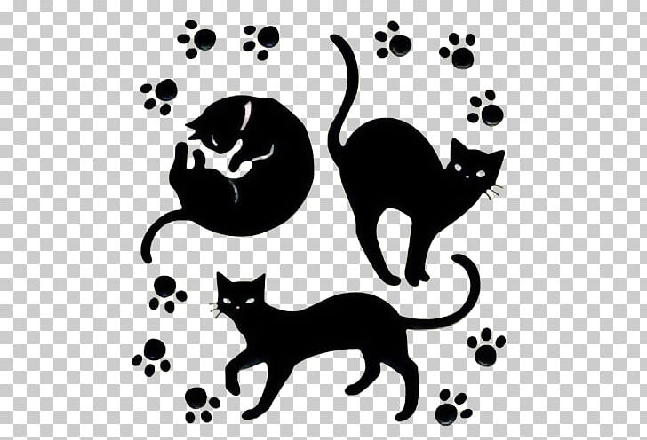 Whiskers Black Cat Wildcat PNG, Clipart, Advertisement, Advertisement Design, Animal, Animals, Black Free PNG Download