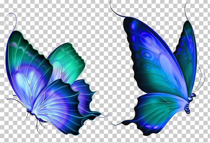 Butterfly PNG, Clipart, Apple Icon Image Format, Butterflies, Butterfly Group, Butterfly Wings, Cartoon Free PNG Download