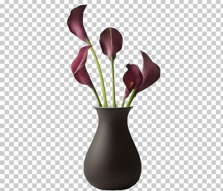 Cut Flowers Vase Television Blume PNG, Clipart, Arruga, Blume, Cut Flowers, Dark Cherry, Flower Free PNG Download