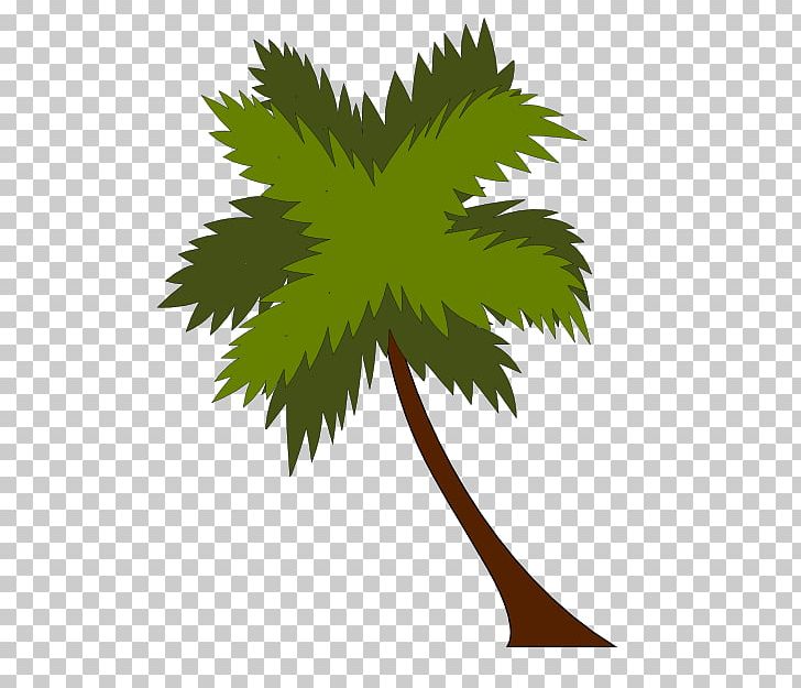 Coconut Water Graphics Palm Trees PNG, Clipart, Arecales, Branch, Coconut, Coconut Milk, Coconut Oil Free PNG Download