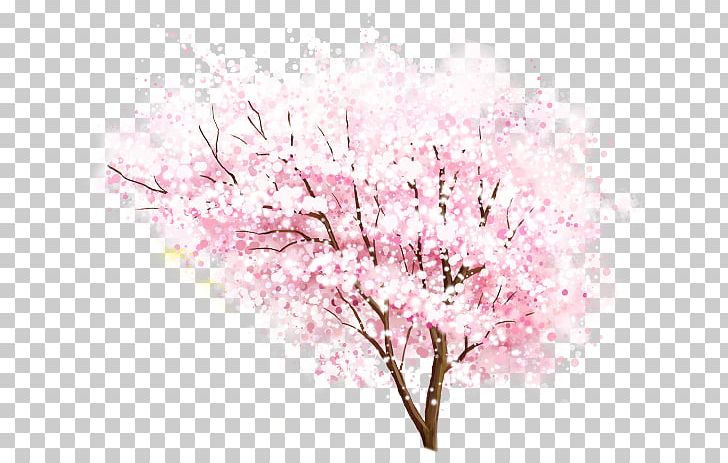 National Cherry Blossom Festival PNG, Clipart, Bloom, Branch, Cherry, Cherry Blossom, Christma Free PNG Download