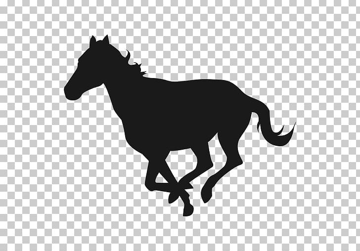 Horse Silhouette PNG, Clipart, Black And White, Colt, Decal, Dog Like Mammal, Equestrian Free PNG Download