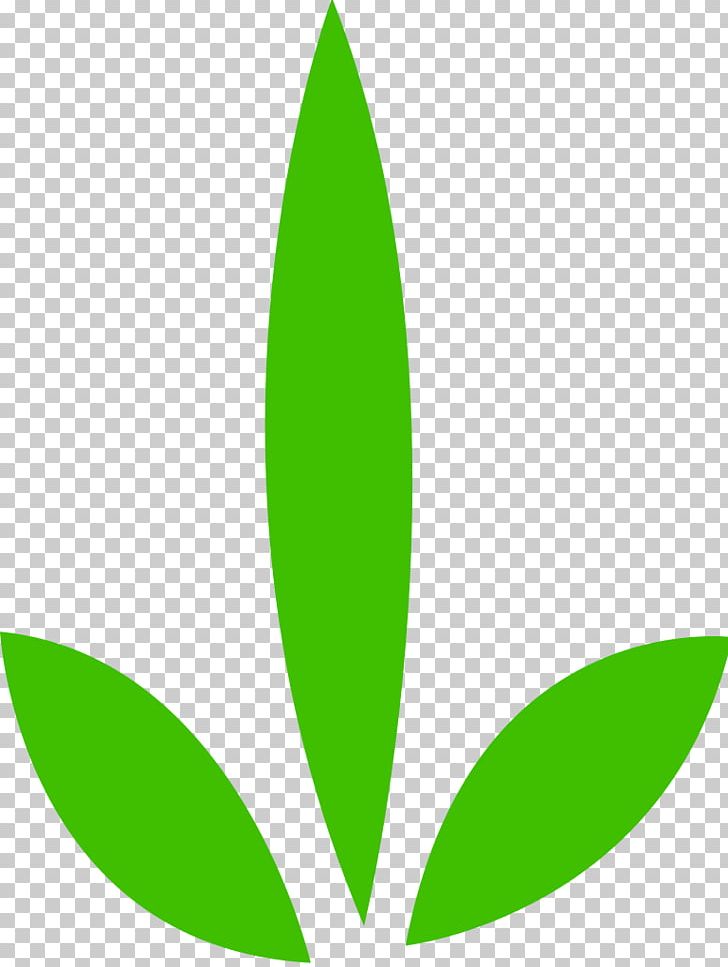 Leaf Plant Stem Tree Green PNG, Clipart, Grass, Green, Leaf, Plant, Plant Stem Free PNG Download