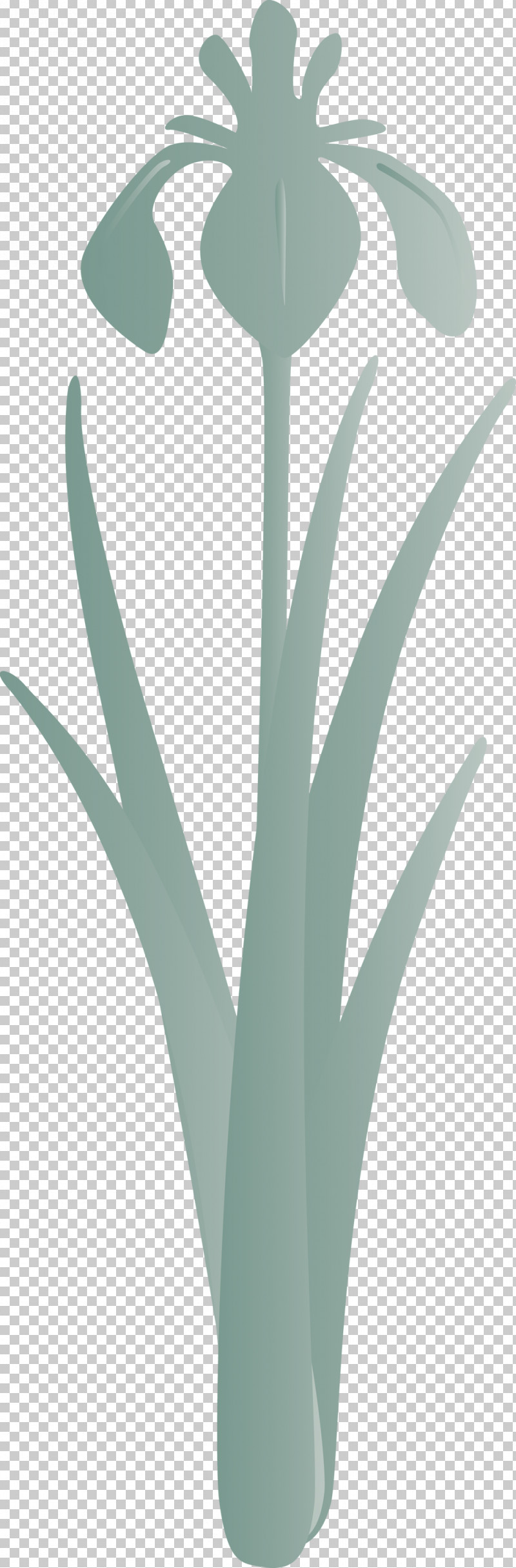 Iris Flower Spring Flower PNG, Clipart, Agave, Aloe, Flower, Grass, Grass Family Free PNG Download