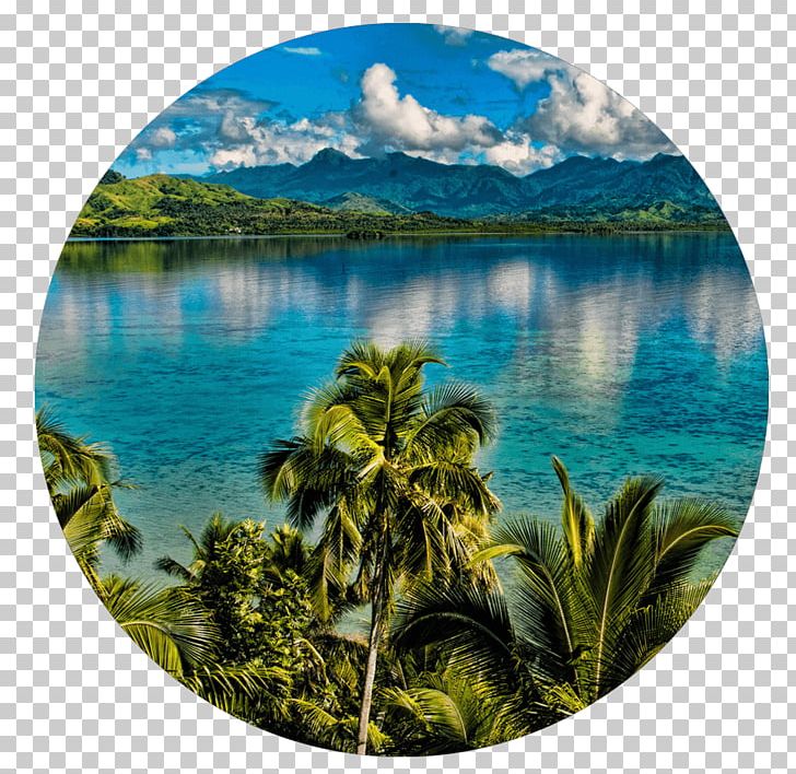 Vanua Levu Kadavu Island Travel Fiji Airways Country PNG, Clipart, Airline, Country, Fiji, Fiji Airways, Holiday Free PNG Download
