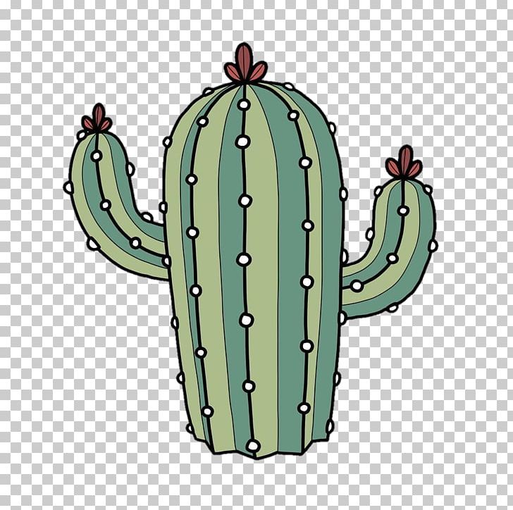 Barbary Fig Sticker Cactaceae Drawing PNG, Clipart, Barbary Fig, Cactaceae, Cactus, Caryophyllales, Cool Free PNG Download