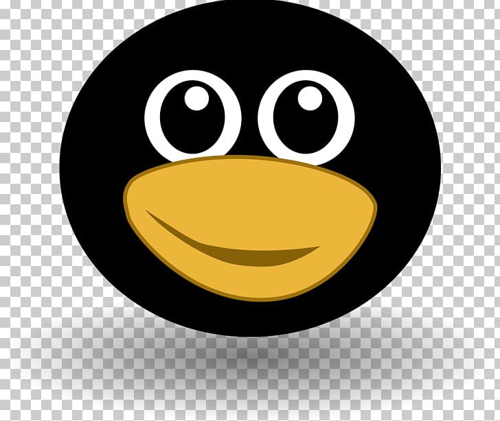 Little Penguin Bird Face PNG, Clipart, Beak, Bird, Circle, Cuteness, Drawing Free PNG Download