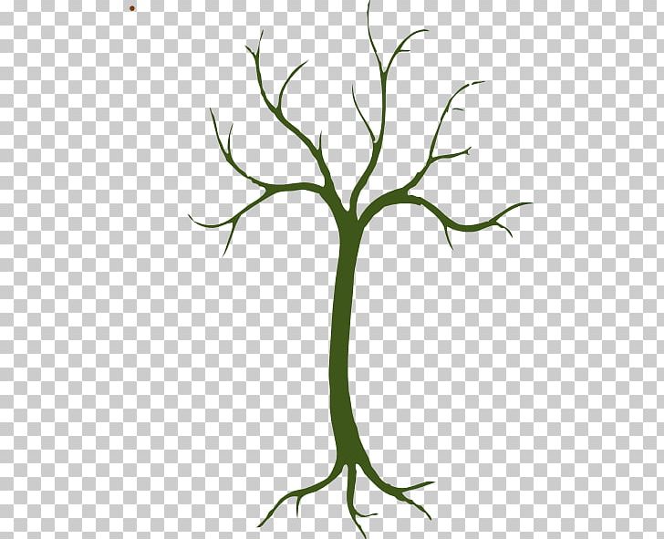 Twig Plant Stem Grasses Leaf PNG, Clipart, Branch, Commodity, Flora, Flower, Grass Free PNG Download