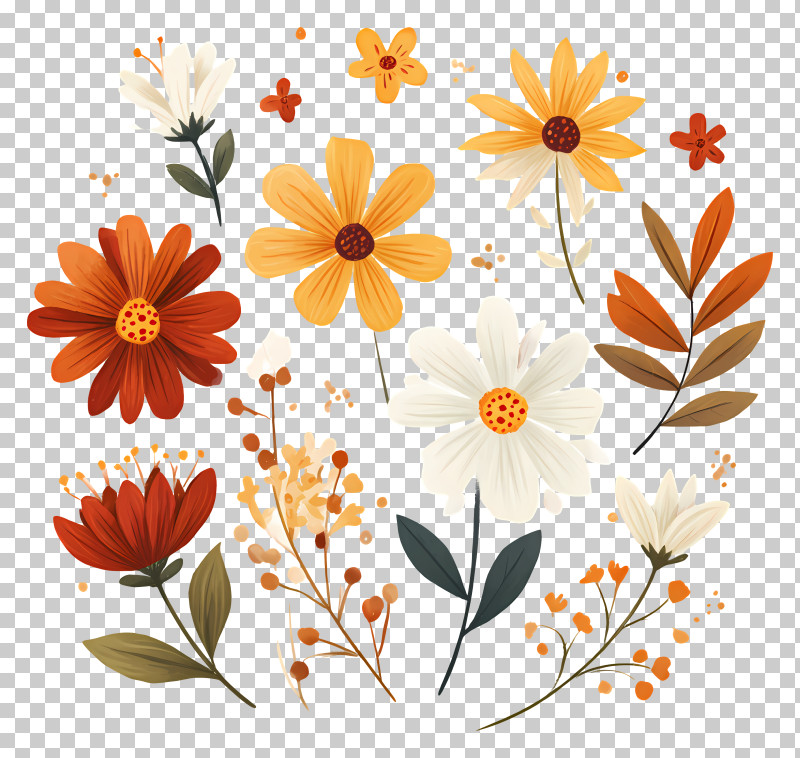 Autumn Flowers - Colorful Flowers And Leaves Illustration PNG