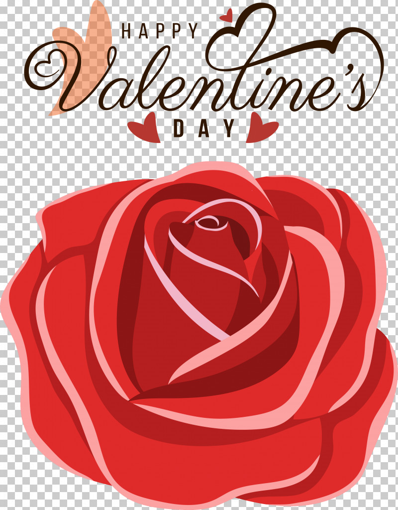 Garden Roses PNG, Clipart, February 14, Floral Design, Flower, Flower Garden, Garden Free PNG Download