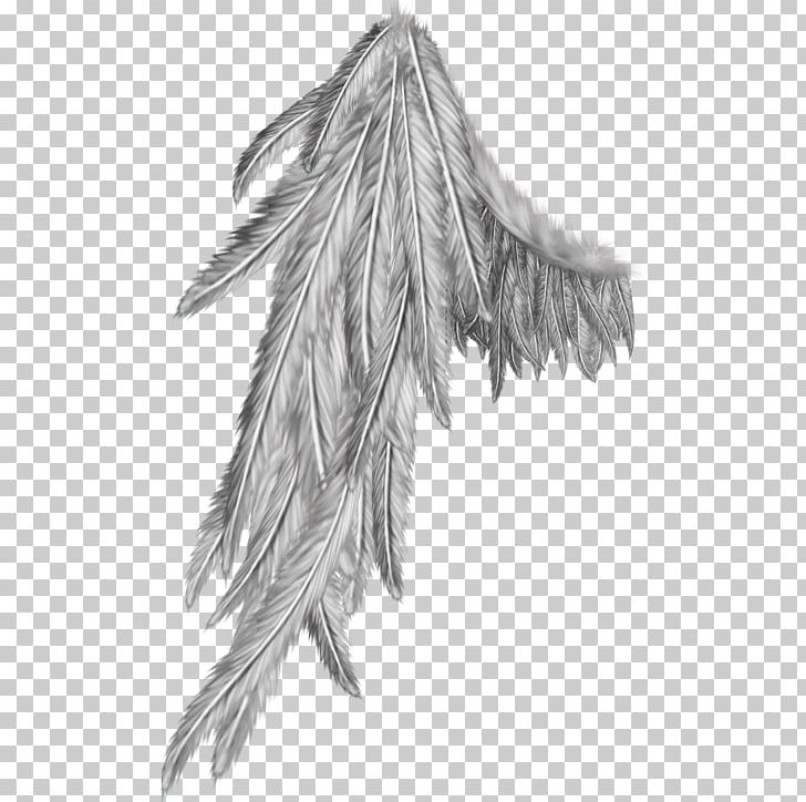 Angel Wing Black And White PNG, Clipart, Angel Wing, Angel Wings, Black And White, Black Angel, Clipboard Free PNG Download