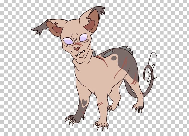 Whiskers Kitten Sphynx Cat Warriors Paw PNG, Clipart, Animals, Carnivoran, Cartoon, Cat, Cat Like Mammal Free PNG Download