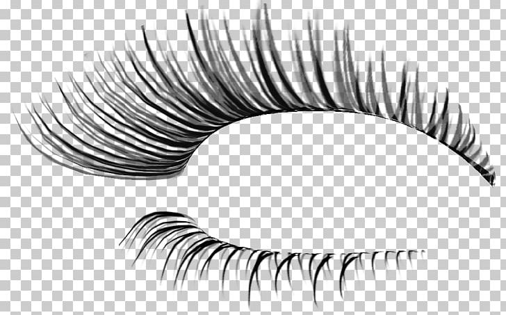 Eyelash Extensions Cosmetics PNG, Clipart, 3 D, Artificial Hair Integrations, Beauty, Black And White, Color Free PNG Download