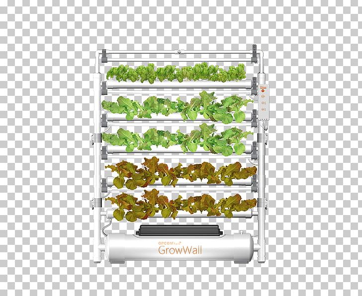 Hydroponics The International Consumer Electronics Show Farm Grow Box Product PNG, Clipart, Farm, Grass, Greenhouse, Grow Box, Hydroponics Free PNG Download