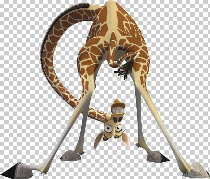 Melman Alex Gloria Marty Julien PNG, Clipart, Alex, All Hail King Julien, Animals, Dreamworks Animation, Film Free PNG Download