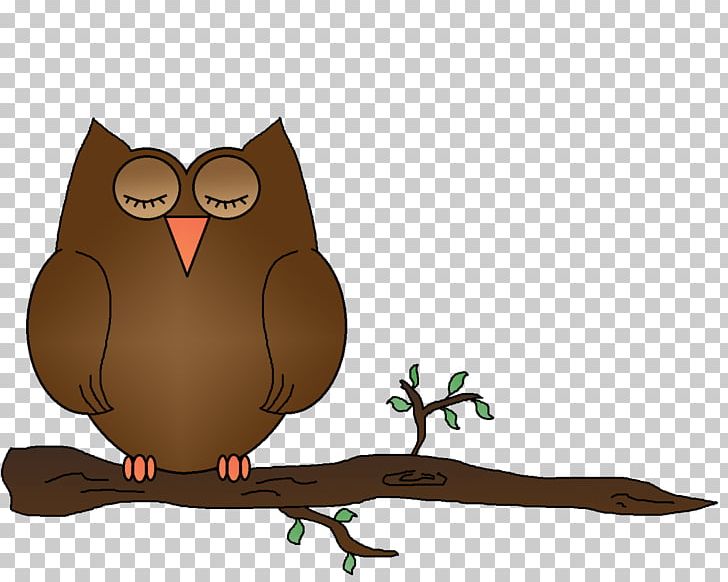 Owl Sleep PNG, Clipart, Animals, Beak, Bird, Bird Of Prey, Desktop Wallpaper Free PNG Download