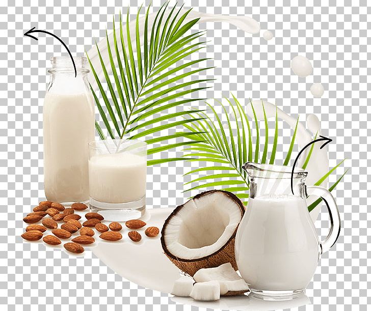 Plant Milk Almond Milk Coconut Milk Coconut Water PNG, Clipart,  Free PNG Download
