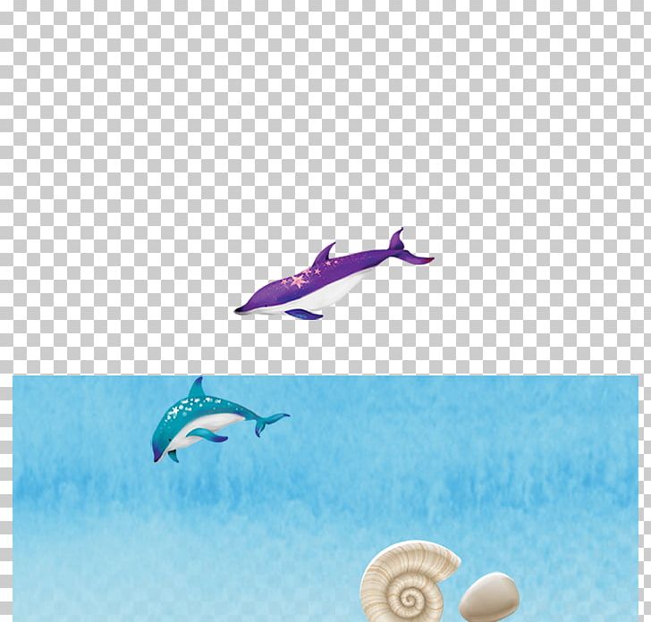 Dolphin Summer PNG, Clipart, Animals, Background, Background Decoration, Computer Wallpaper, Conch Free PNG Download