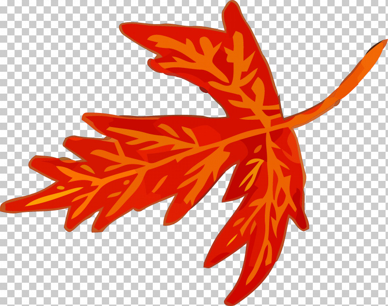 Autumn Leaf Yellow Leaf Leaf PNG, Clipart, Autumn Leaf, Black Maple, Coquelicot, Flower, Leaf Free PNG Download