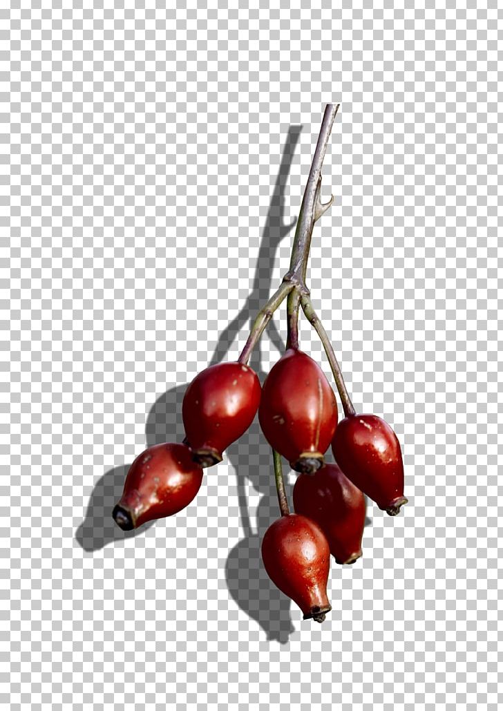 Cranberry Rose Hip Superfood Cherry PNG, Clipart, Berry, Cherry, Cranberry, Food, Fruit Free PNG Download