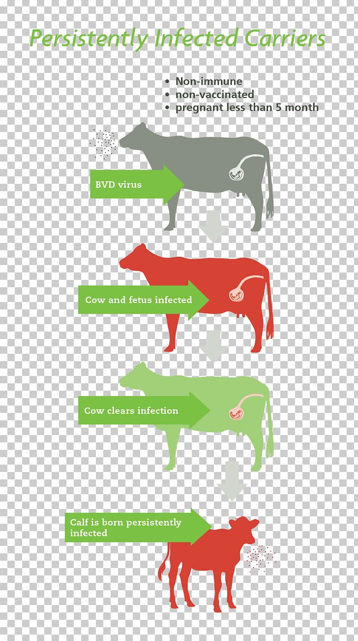 Horse Livestock Brand PNG, Clipart, Animals, Area, Brand, Cow, Diarrhea Free PNG Download