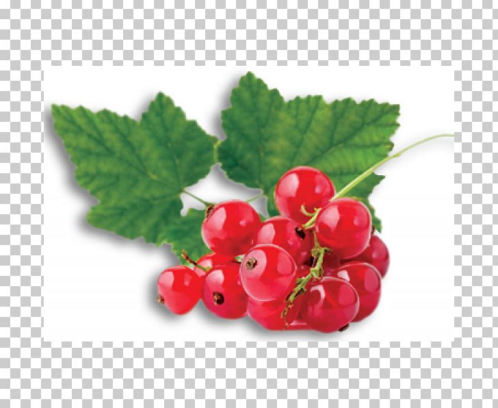 Lekvar Redcurrant Fruit Berry Gelatin Dessert PNG, Clipart, Berry, Bilberry, Blackberry, Blackcurrant, Boysenberry Free PNG Download