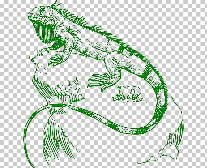 Lizard Green Iguana Reptile Chameleons Tattoo PNG, Clipart, Animal Figure, Artwork, Cartoon Iguana Pictures, Chameleons, Coloring Book Free PNG Download