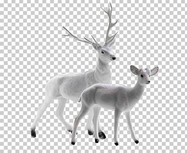 Seneca White Deer Computer File PNG, Clipart, Animals, Antler, Black And White, Black White, Deer Free PNG Download