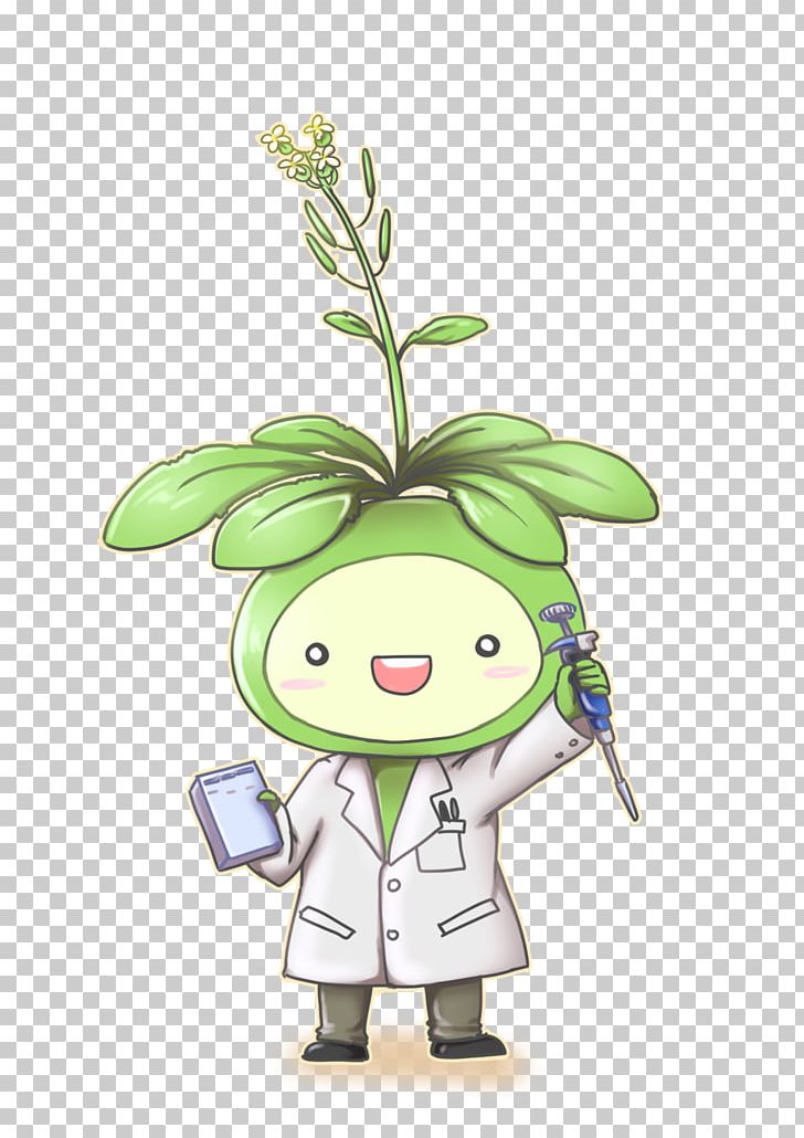Thale Cress Genome Botany Plants PNG, Clipart, Botany, Cartoon, Drawing, Fictional Character, Floral Design Free PNG Download