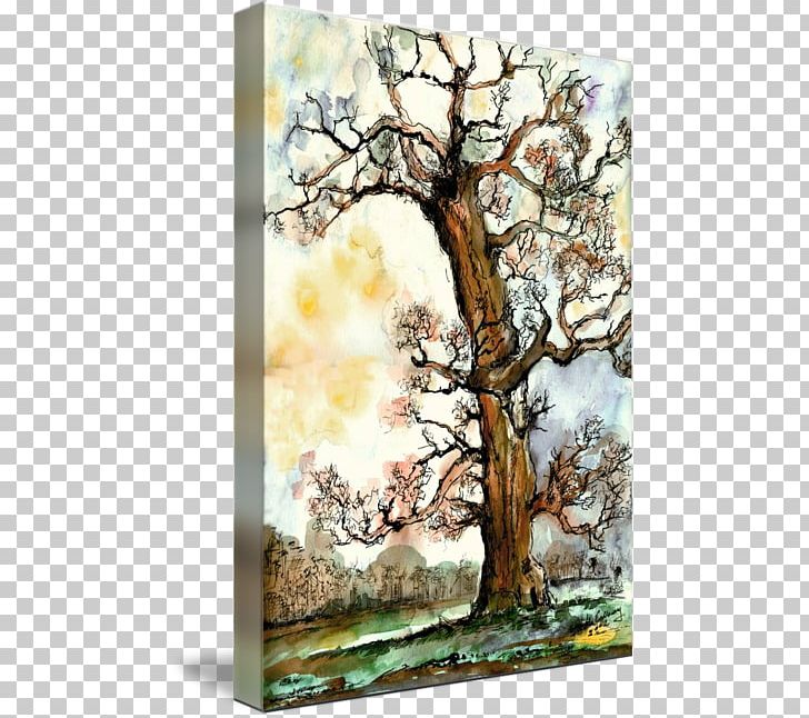 Watercolor Painting Gallery Wrap Frames Canvas PNG, Clipart, Art, Artwork, Blossom, Branch, Canvas Free PNG Download