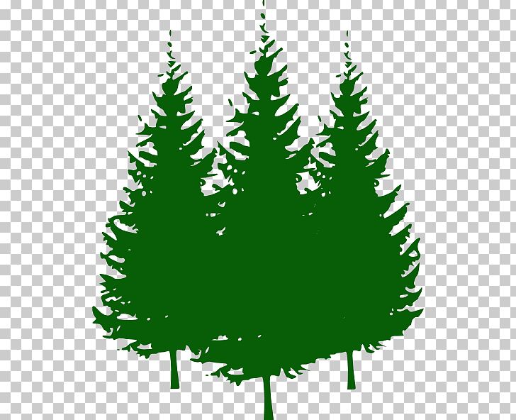 Pine Tree PNG, Clipart, Art, Christmas Decoration, Christmas Ornament, Christmas Tree, Conifer Free PNG Download