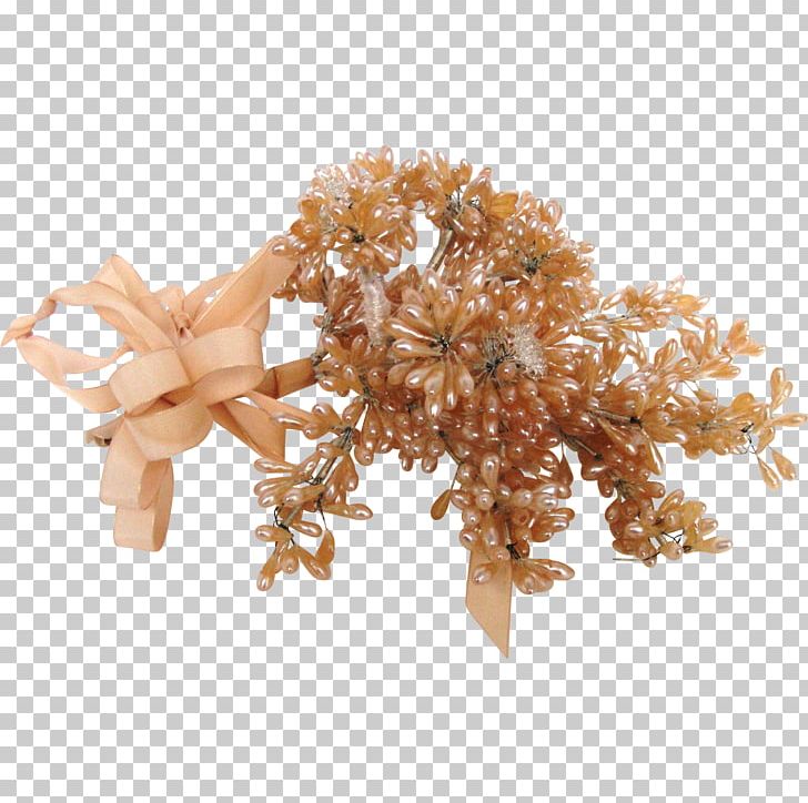 Branching PNG, Clipart, Branch, Branching, Others, Tree, Wedding Doll Free PNG Download