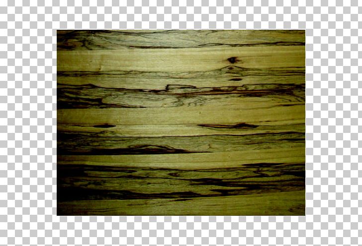 Wood Stain /m/083vt PNG, Clipart, Chanel India, Grass, Green, M083vt, Nature Free PNG Download