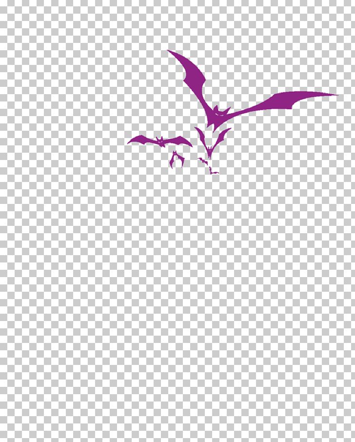 Bat Wing Development Bat Wing Development Icon PNG, Clipart, Animals, Area, Bat, Bats, Beak Free PNG Download