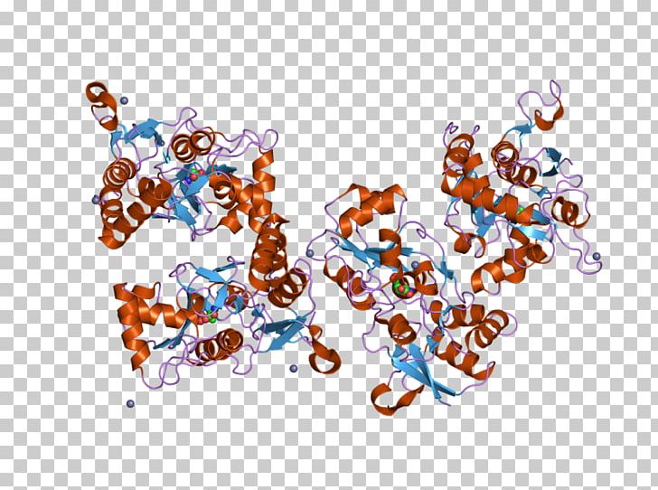 GRIA2 NOS1 Ionotropic Glutamate Receptor Nitric Oxide Synthase Ligand-gated Ion Channel PNG, Clipart, Ampa, Art, Computer Wallpaper, Ebi, Enzyme Free PNG Download