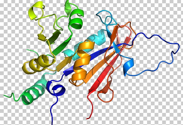 Dihydrofolate Reductase Sequence Domain Of A Function Organism Human Behavior PNG, Clipart, Area, Artwork, Atom, Behavior, Chemical Compound Free PNG Download