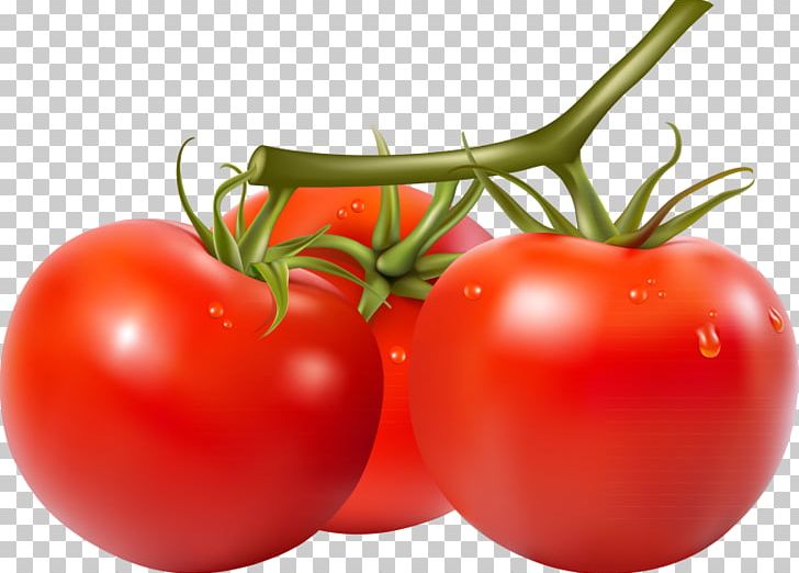 Cherry Tomato San Marzano Tomato Stock Photography PNG, Clipart, Bush Tomato, Diet Food, Encapsulated Postscript, Food, Fruit Free PNG Download