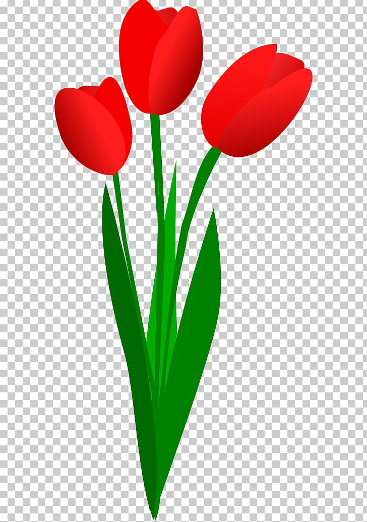 Tulip Flower PNG, Clipart, Clip Art, Color, Digital Image, Download, Flower Free PNG Download