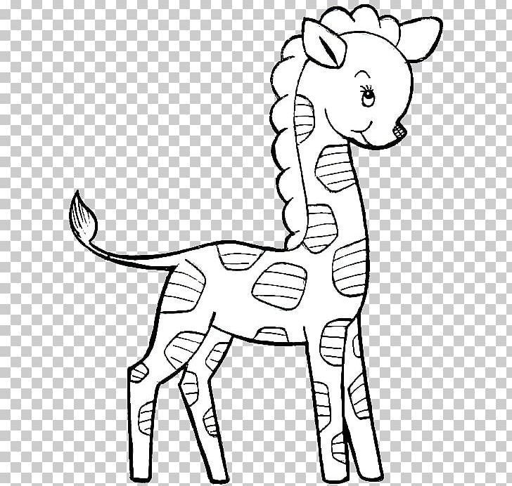 Drawing Coloring Book Northern Giraffe Child PNG, Clipart, Adult, Animal, Animal Figure, Animation, Black And White Free PNG Download