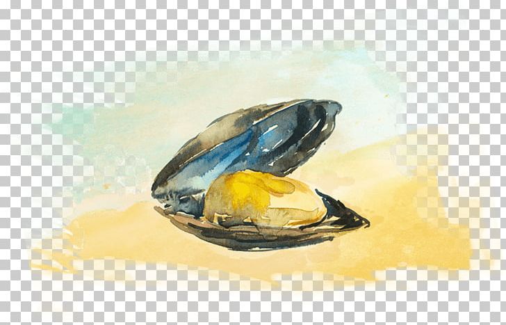 Mussel Clam Seafood Oyster Carpaccio PNG, Clipart,  Free PNG Download
