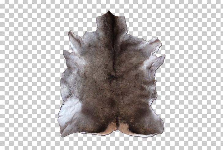 Tree Fur PNG, Clipart, Cerf, Fur, Nature, Tree, Wood Free PNG Download