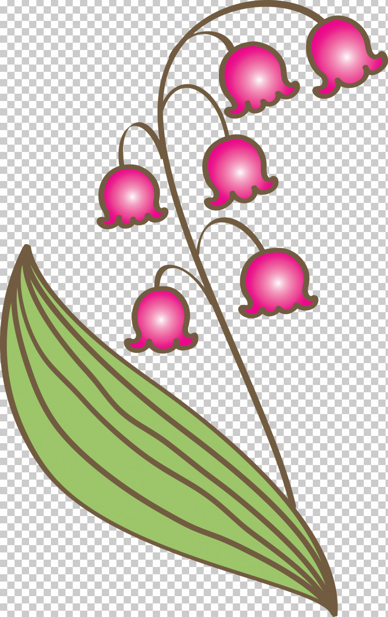 Lily Bell Flower PNG, Clipart, Flower, Leaf, Lily Bell, Magenta, Pink Free PNG Download