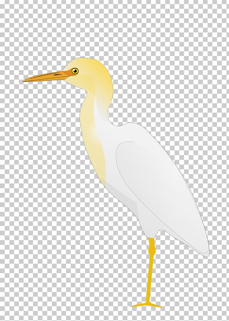 Bird Stork Cattle Egret Pond Heron PNG, Clipart, Animals, Beak, Bird, Birdwatching, Bubulcus Free PNG Download