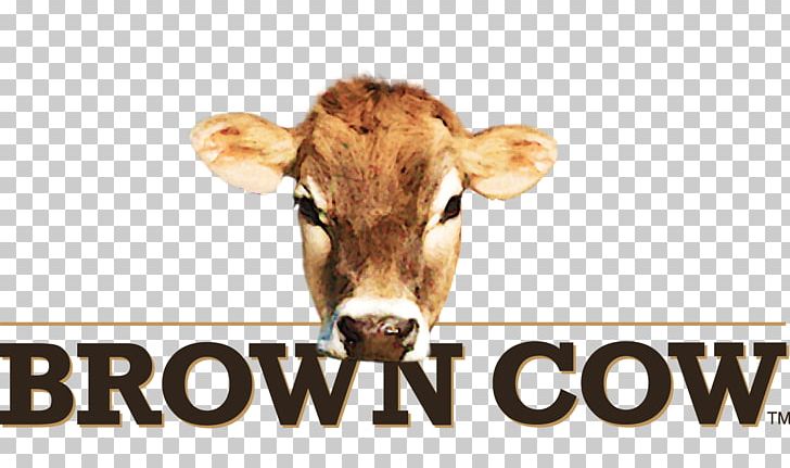 Cream Milk Brown Cow Yoghurt Organic Food PNG, Clipart, Brown, Brown Cow, Cattle Like Mammal, Corporation, Cow Free PNG Download